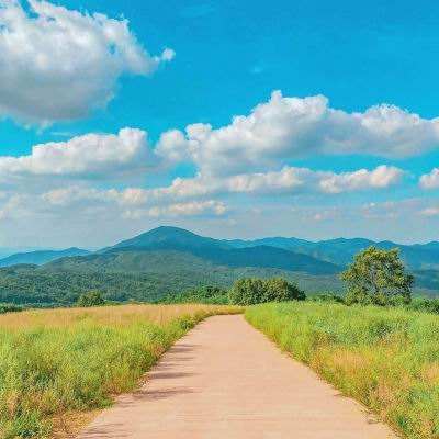 体育皇冠官网下载截图