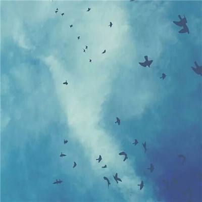 BO半岛综合app安全下载