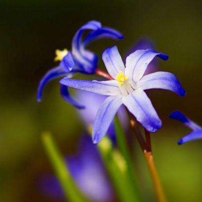 开云·体育(kaiyun)app下载