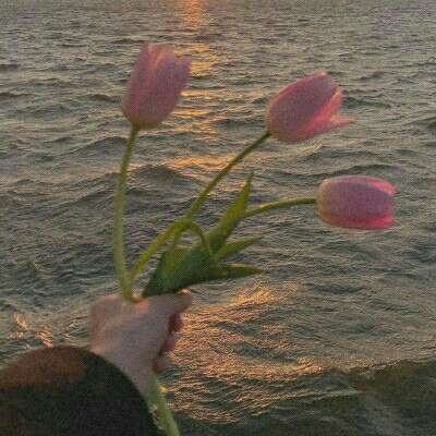 双赢彩票官方网站app下载