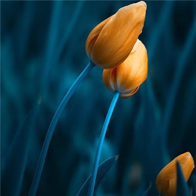 bat365官网登录入口