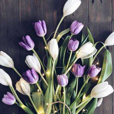 metatrader4官网下载